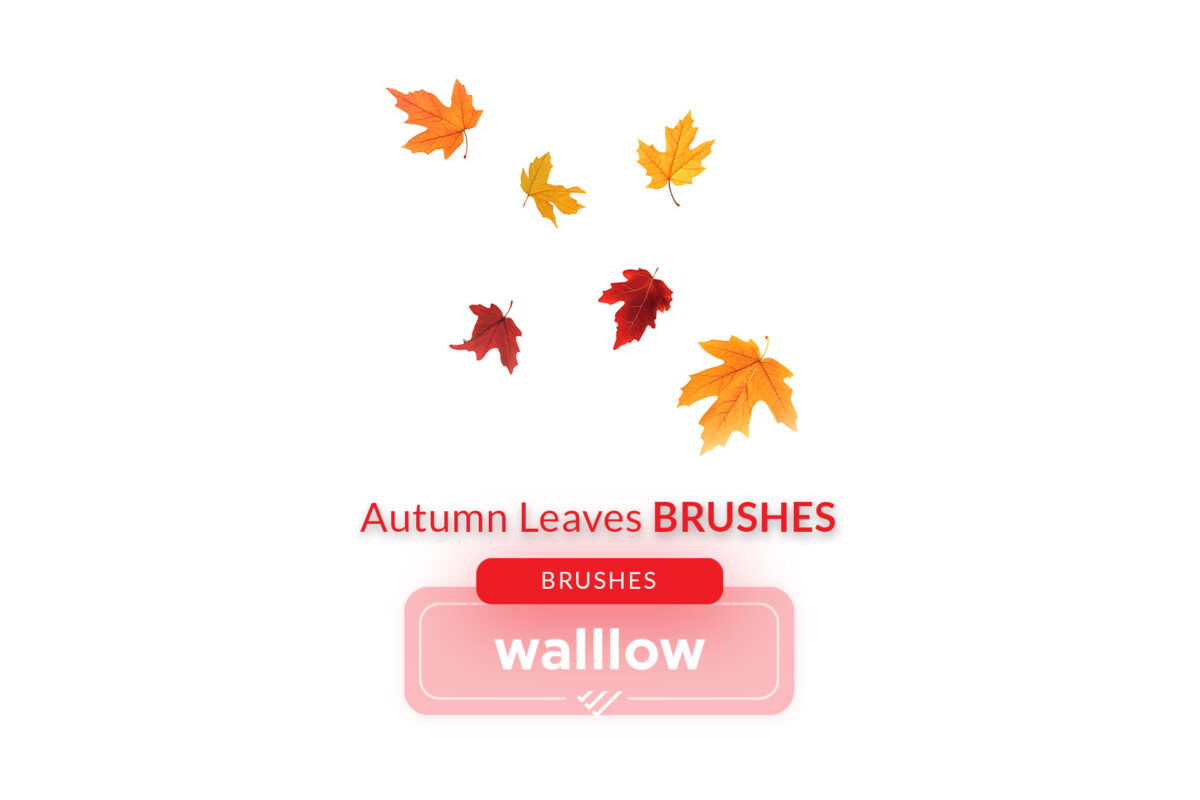 Falling autumn leaves Photoshop brushes for creating realistic fall foliage designs, perfect for digital artists and photographers in autumn-themed photo editing and compositions.