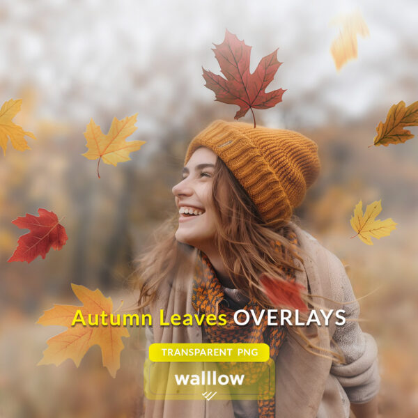 Falling autumn leaves PNG photo overlays for adding vibrant fall foliage to photography, perfect for autumn-themed portraits, seasonal designs, and digital artwork.