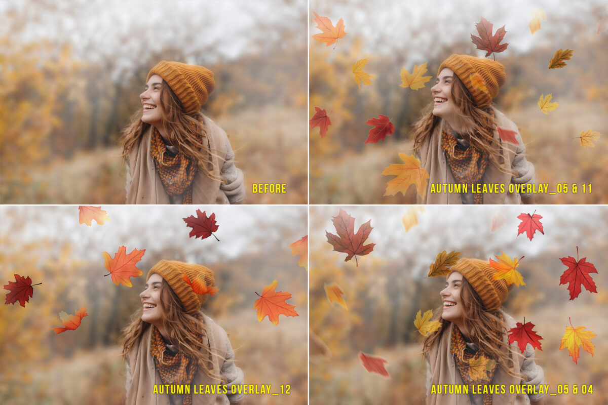 Falling autumn leaves PNG photo overlays for adding vibrant fall foliage to photography, perfect for autumn-themed portraits, seasonal designs, and digital artwork.