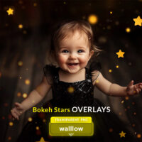 Gold Bokeh Stars Photo Overlays - Transparent PNG, Glitter Bokeh Star Photoshop Effect for Composite Photography and Christmas Bokeh Star Lights.