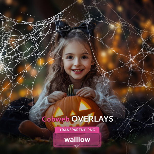 Realistic cobweb transparent PNG overlays for Halloween-themed photo edits and spooky designs, featuring spider web effects.