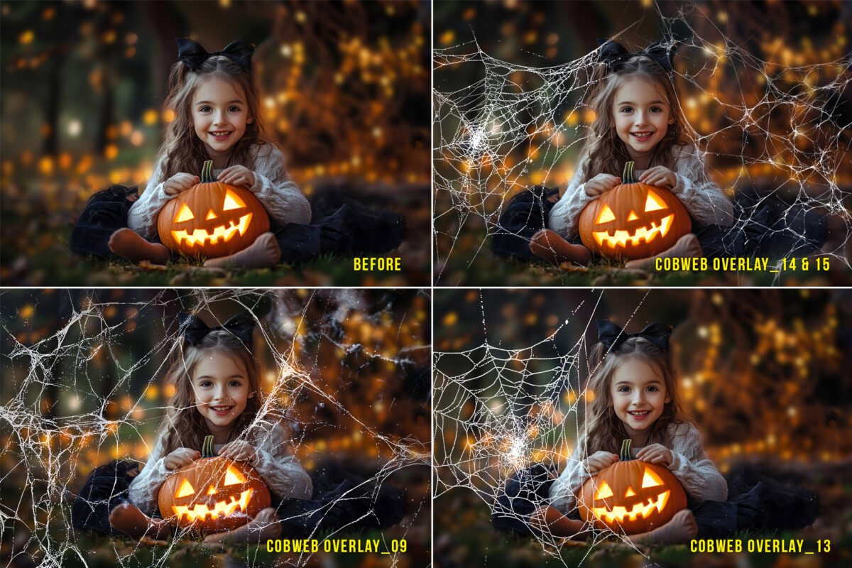 Realistic cobweb transparent PNG overlays for Halloween-themed photo edits and spooky designs, featuring spider web effects.