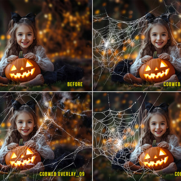 Realistic cobweb transparent PNG overlays for Halloween-themed photo edits and spooky designs, featuring spider web effects.