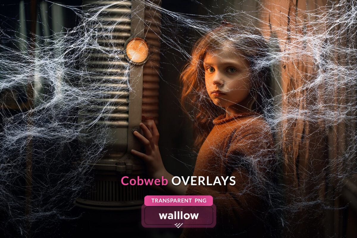 Realistic cobweb transparent PNG overlays for Halloween-themed photo edits and spooky designs, featuring spider web effects.