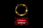 Ring Light Photoshop brushes for creating lens flare, bokeh circle, glow, and shine effects, ideal for photographers and digital artists in photo editing and design.
