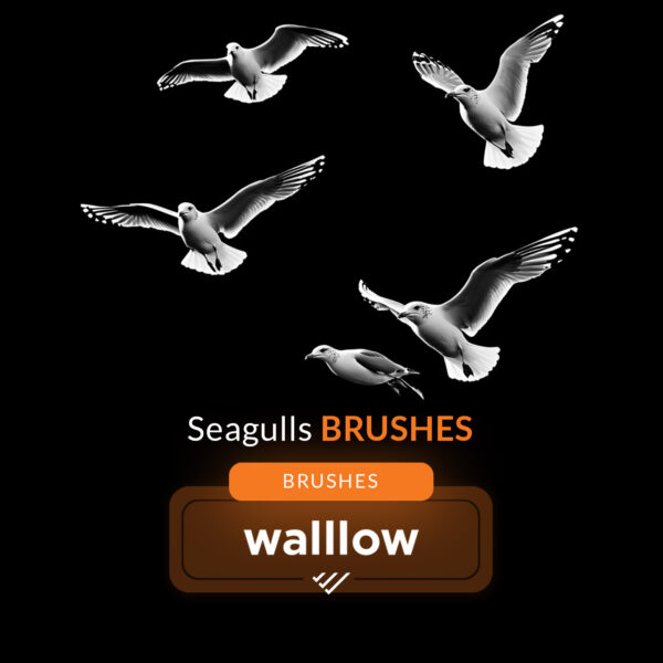 Seagull Photoshop Brushes, realistic ocean bird brushes for coastal and beach scenes in digital art