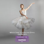 Realistic white translucent dress overlay for portrait photography, adding sheer elegance to photos.