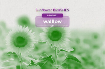 Digital sunflower Photoshop brushes, ideal for floral and nature-inspired designs.