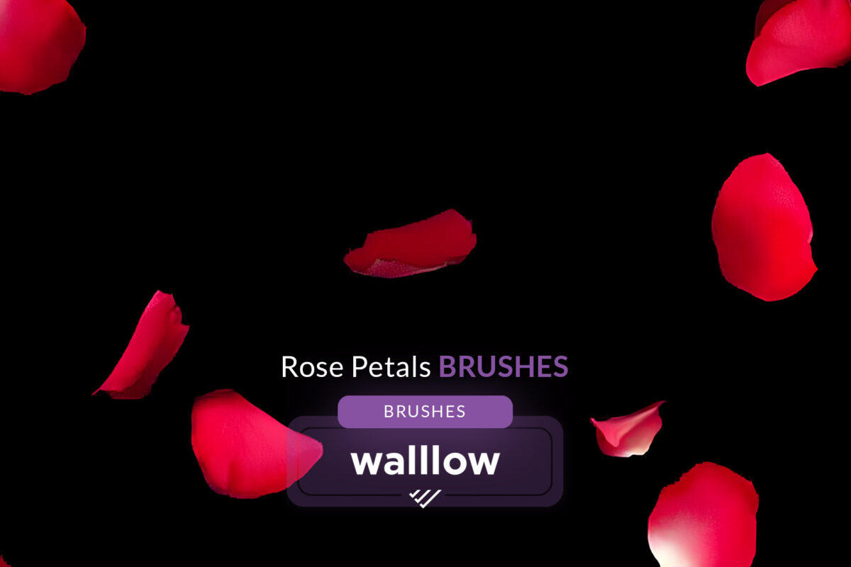 Falling Rose Petals Photoshop Brushes - Digital brush set for creating romantic rose petal effects, perfect for wedding edits, Valentine’s Day themes, and maternity photos.