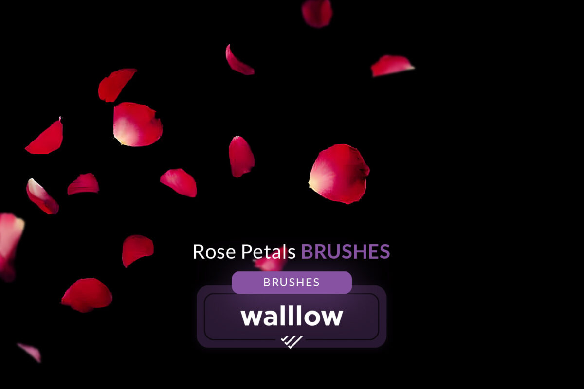 Falling Rose Petals Photoshop Brushes - Digital brush set for creating romantic rose petal effects, perfect for wedding edits, Valentine’s Day themes, and maternity photos.