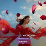 Falling Rose Petals Transparent PNG Overlays Romantic Wedding Photo Overlays