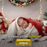 Twinkle Light Cake Smash Photoshop Transparent PNG Photo Overlays Fairy Light Photography Overlay Backdrops for Newborn, Christmas Lights