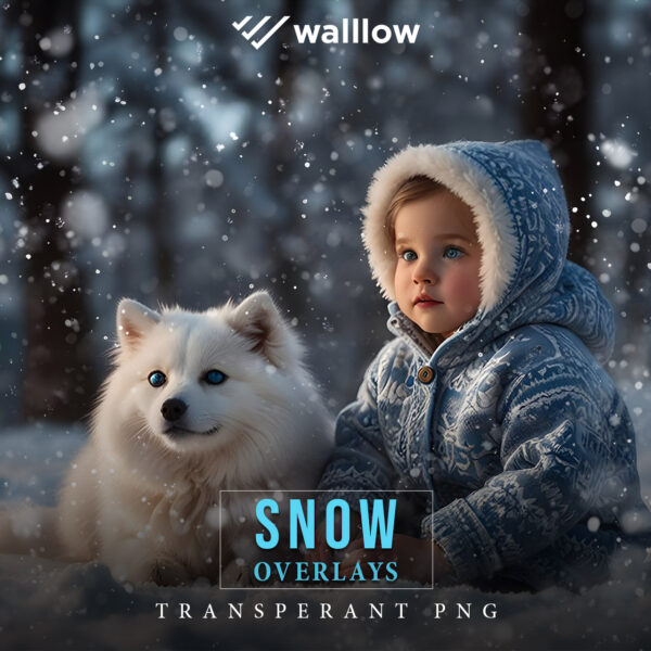 Realistic transparent PNG snow overlay for winter photography and design